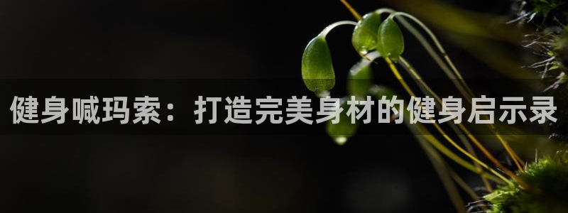 意昂2官方网站
