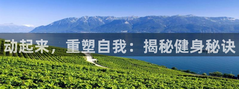 意昂2代理