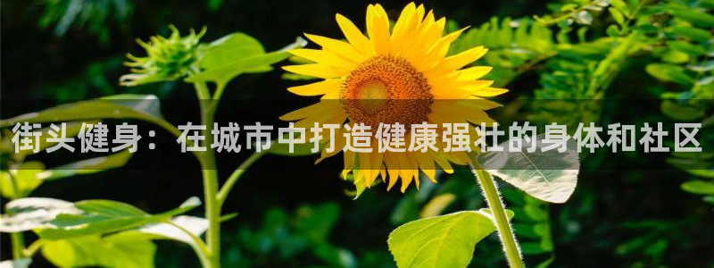 意昂2登录