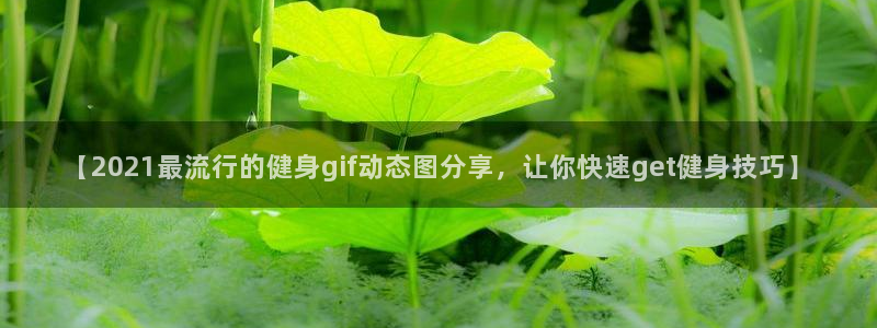 意昂2官方网站