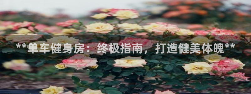 意昂2登录
